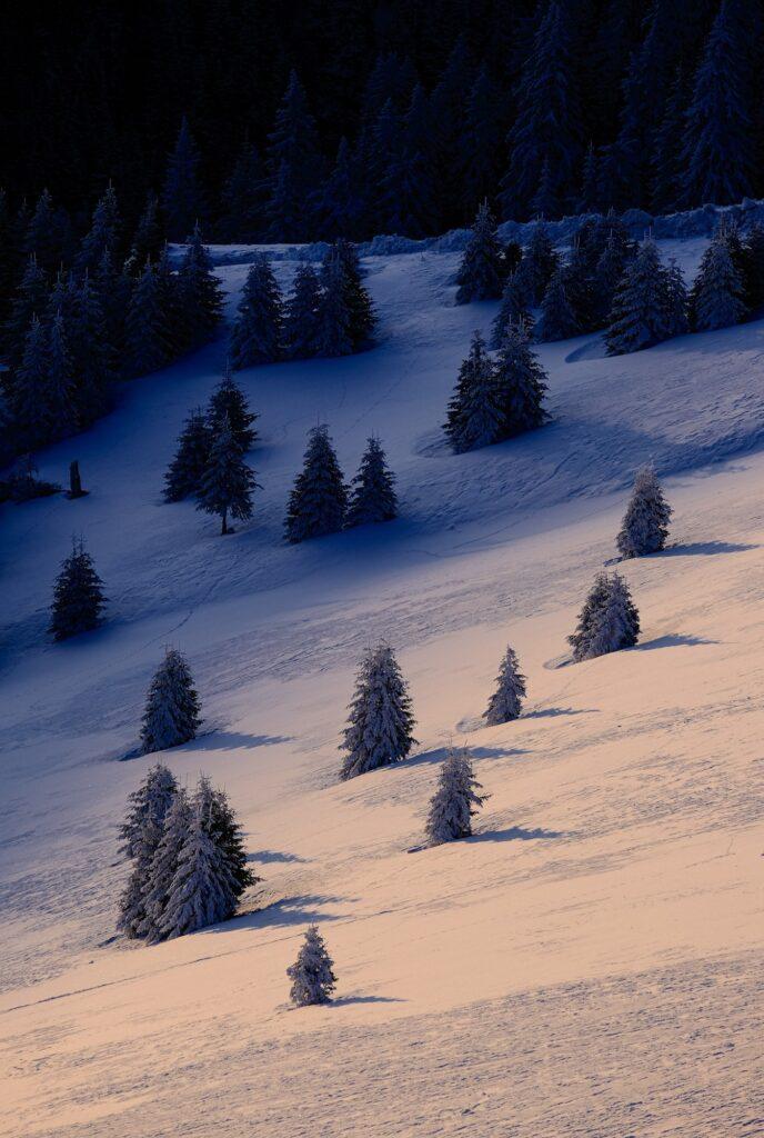 Shadow, light and animal footprints in Ciucas Mountains Romania