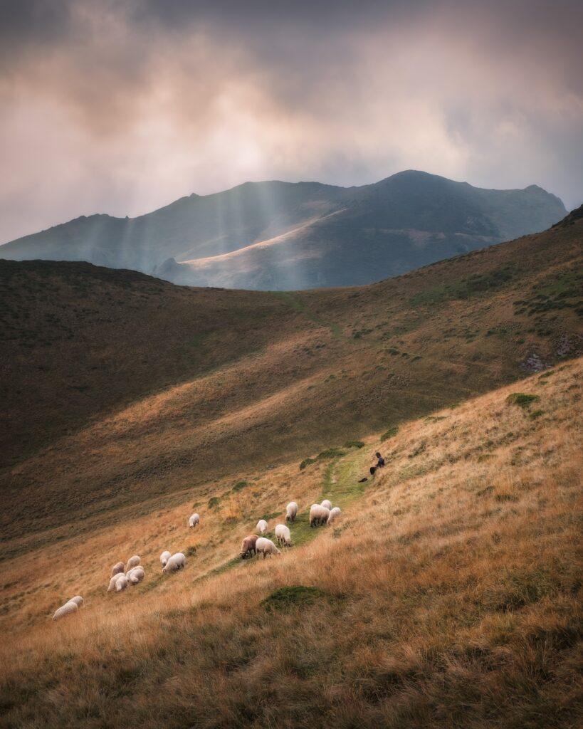 A sunset scene photographed in the Ciucas Mountains Romania