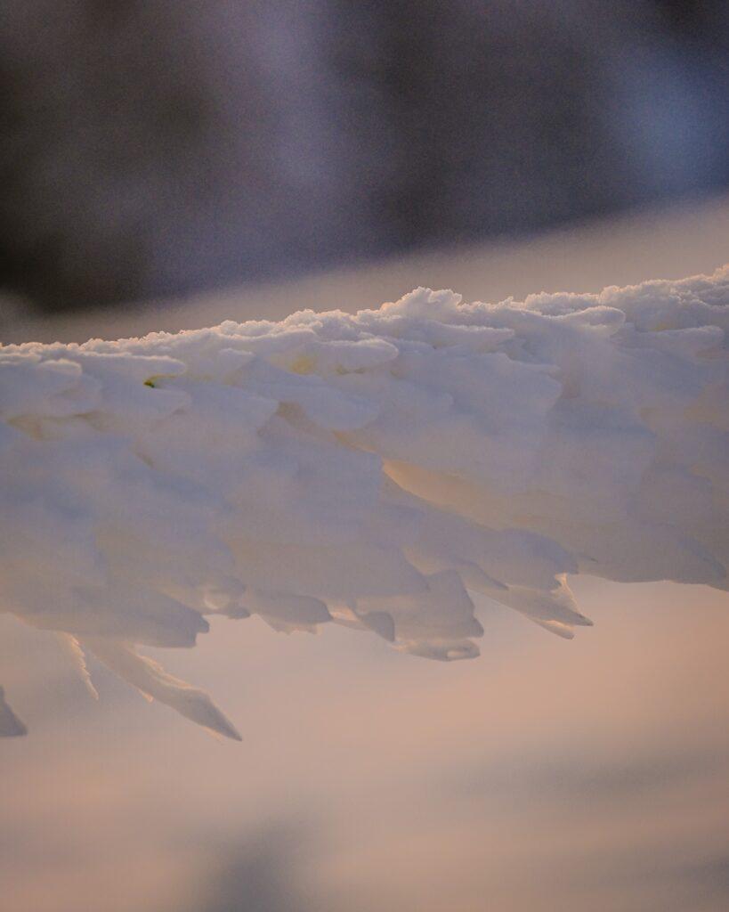 A frozen rope near the Ciucas Cabin in the Ciucas Mountains Romania