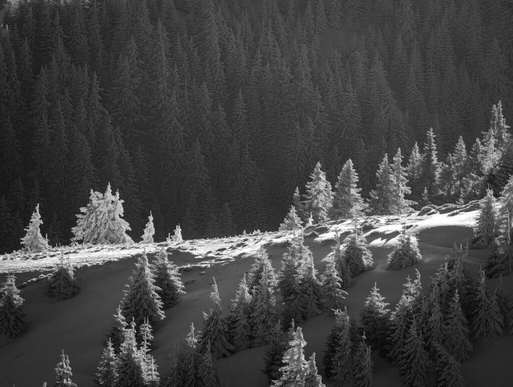 Light and shadeows in black and white landscape photography in Ciucas Mountains Romania