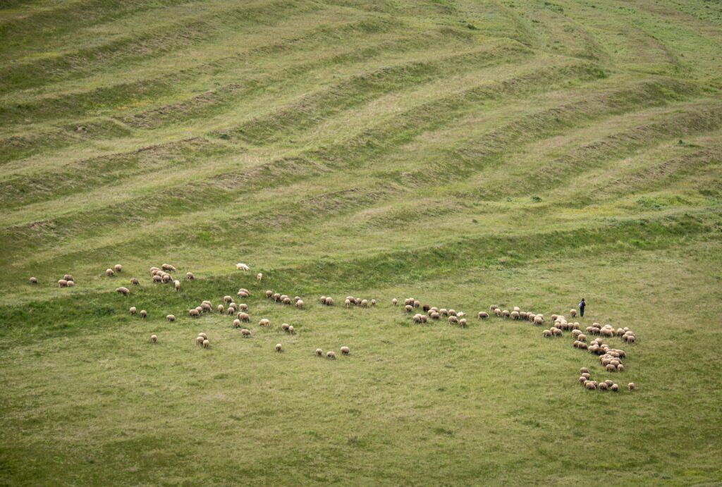 View from Enisala Fortress overlooking the fields of Dobrogea in Romania