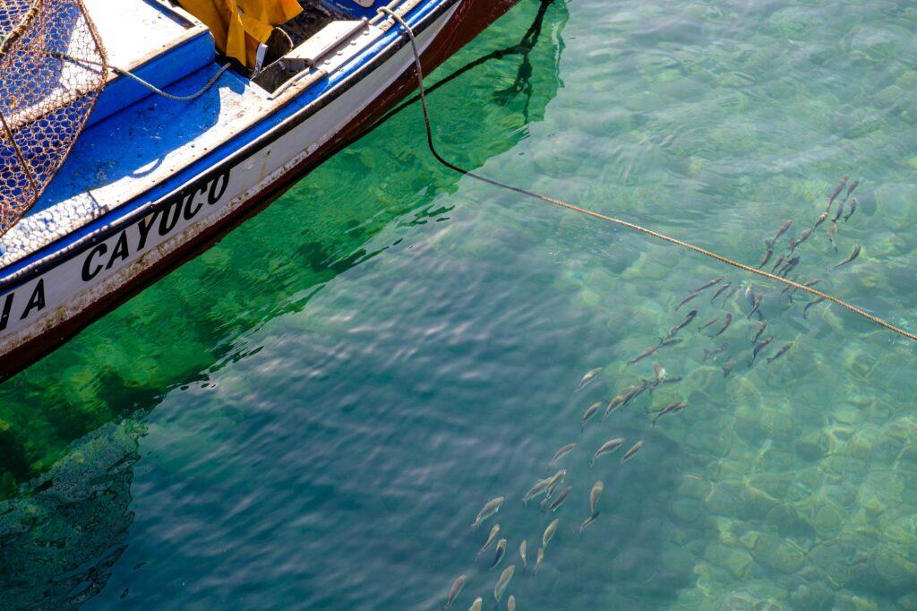 Fragment of an intimate scene in the harbor of Puerto de la Cruz Tenerife