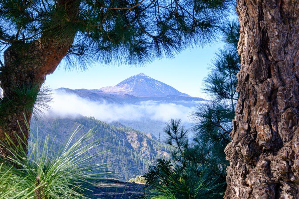 Mount Teide photographed from inside the park in Tenerife Canary Islands