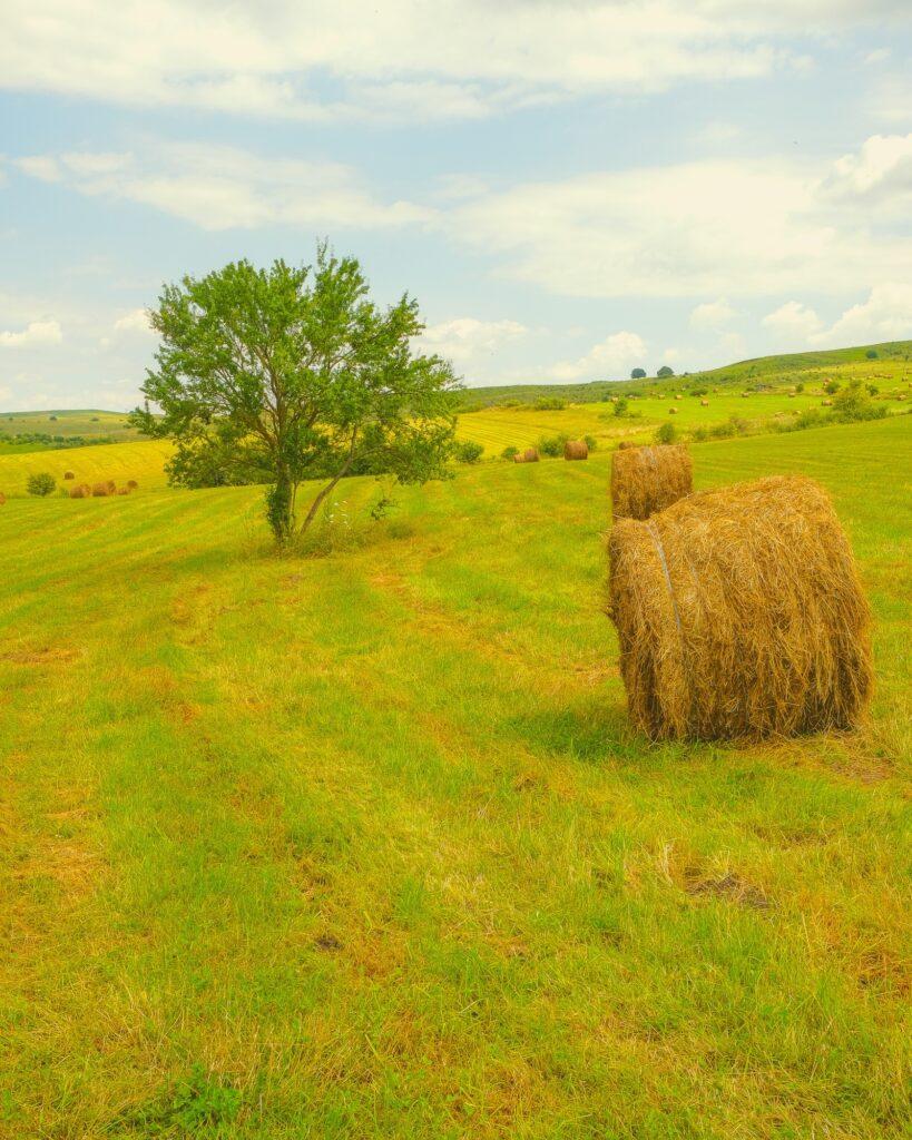 Rural landscape in Transylvania Romania near Sighisoara