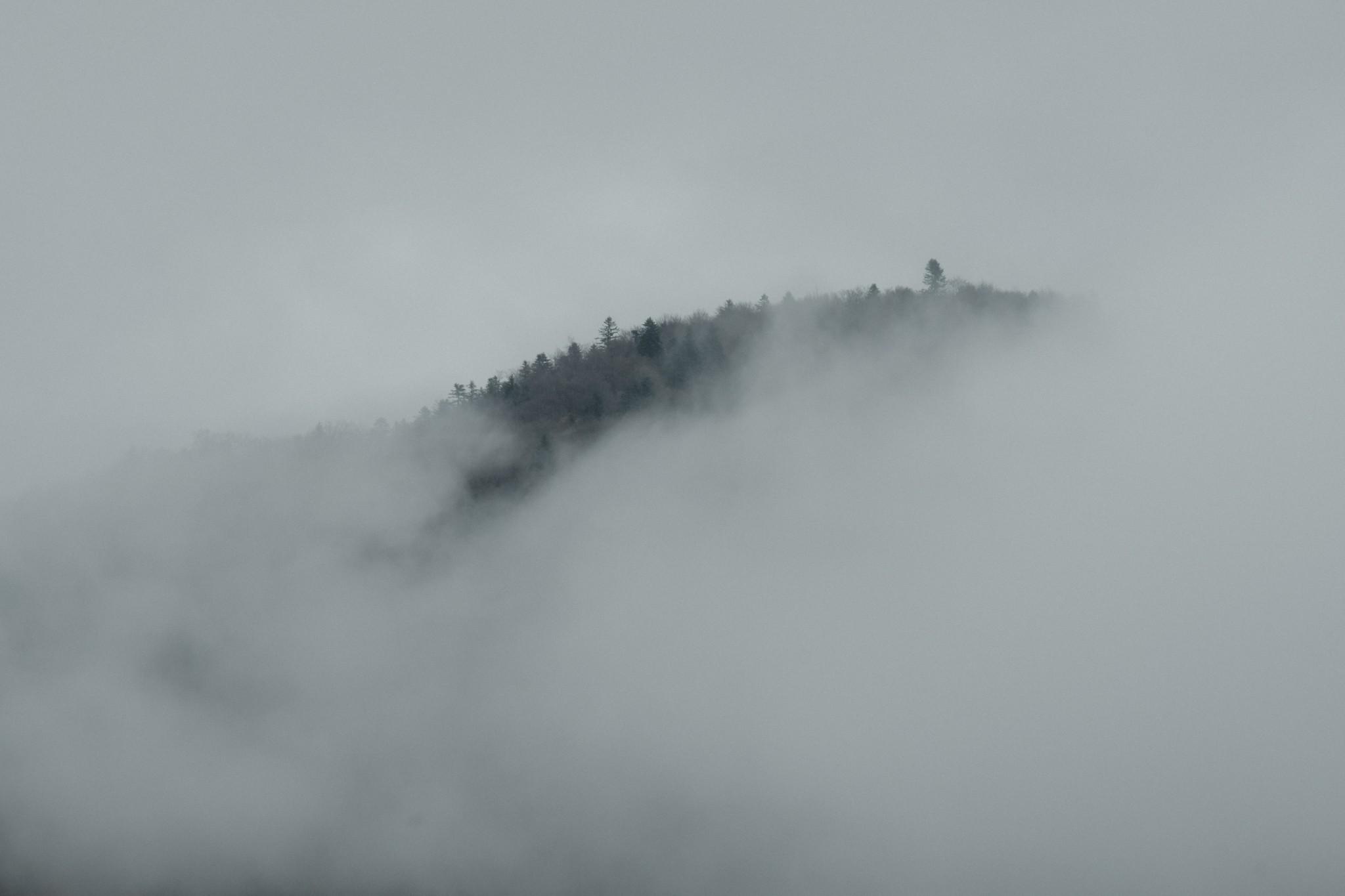 Hills covered in fog on the road to Transalpina Romania