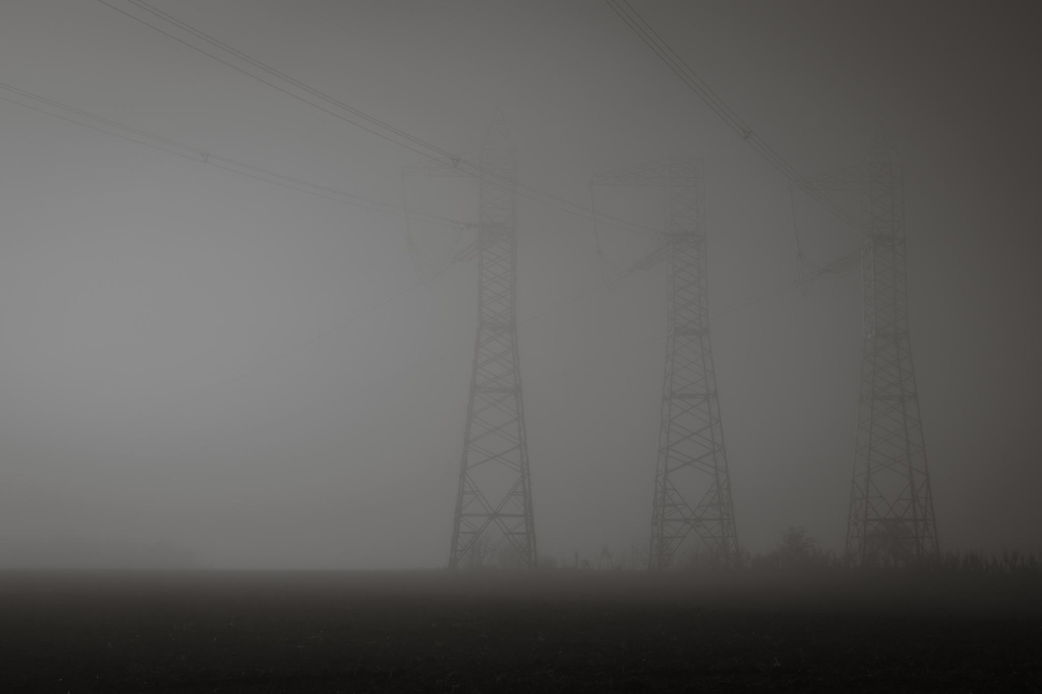 Mornings with fog on the road to Oltenita Romania