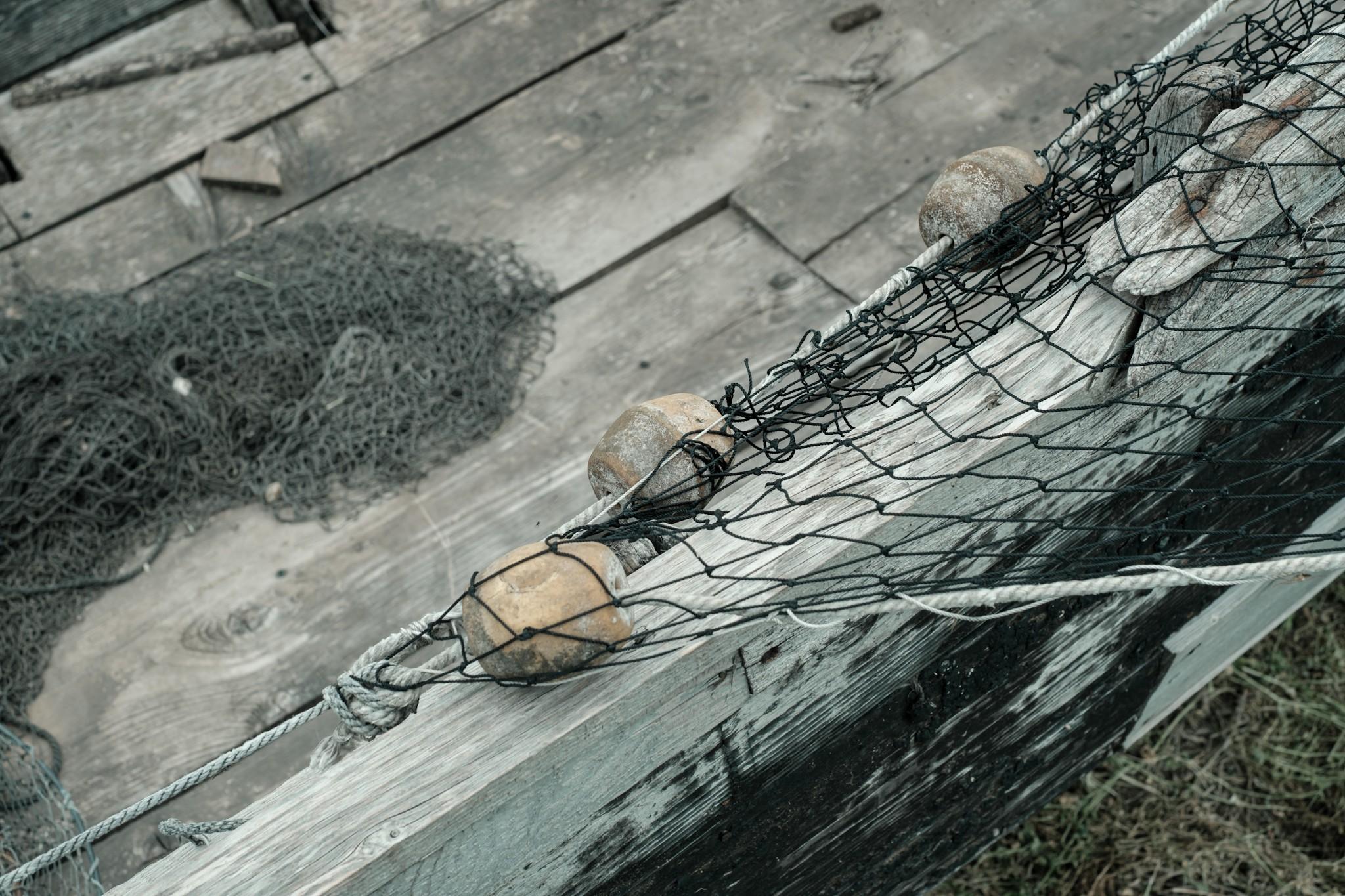 More details with nets on Sarichioi Romania