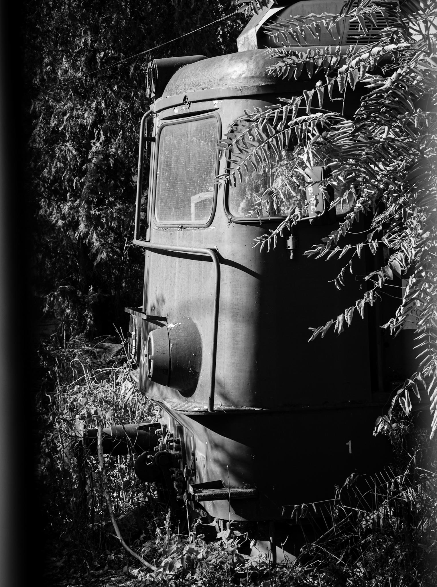 Fragments in Black and White